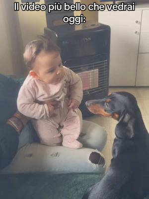 A post by @baby_effe_ on TikTok caption: Le mie bimbe 🩷 #newborn #dog 