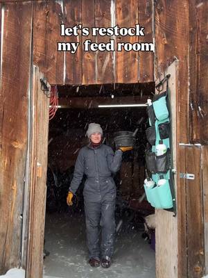 A post by @steadyrein on TikTok caption: i staaay keeping my babies fed #standleeforage #shopstandlee #restock #feedroom #barn #westernlifestyle #montana @Standlee 