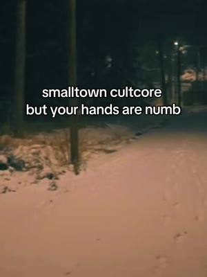 A post by @crucifixati0n on TikTok caption: i recently moved away from Appalachia, and I'm in a much warmer place. despite that, though, we just had a real, genuine snow day.  there wasn't much snow, but just enough to remind me of that longing I used to feel. #childhoodmemories #dreamcore #hopecore #comfort #liminalspaces #nostalgia #smalltowncultcore #backrooms #lonely #alone 