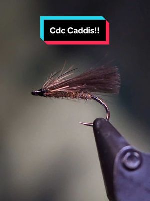 A post by @tiesflies on TikTok caption: Super Simple CDC Caddis! Hook: Ahrex FW531 size 14 Thread: Magpie Materials 72D  Body: Djflyfishing cappuccino hare  Rib: Micro oval tinsel  Cdc: Djflyfishing Viking CDC natural Collar: Djflyfishing ultra hare back  Resin: UV Craft  Tools: TheFlySmith  #TheFlySmith  #flytying #magpiematerials #magpieturkeybiots #magpiefinebeaverdubbing #whitingfarms #naturesspiritflytying #lidrig #fly #flytyingjunkie #flytyingtutorial #flytyingaddict #flytok #satisfying #flytyingnation #fyp #harelinedubbin  #fishing #flyfishing #pescamosca #Upavon