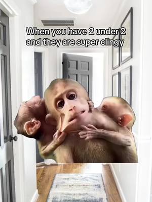 A post by @ on TikTok caption: #MemeCut #memenatal it’s hard some days #mama #clingy #toddler #fypシ゚viral #babyfever #mamabear #momof2 #momma #parenting #mommys #mom #moms #fyp #foru #creatorsearchinsights #momlife #MomsofTikTok #momtok #momlife #momsover30 #mommy #kids #kidsoftiktok #mumoftiktok #mumof2 #mumbai #mums #parentsoftiktok #motherslove #mother #motherhoodunplugged #clingybaby #humor #humortiktok #funnyvideo #funnymoments #funnytiktok #funnyy #funnymemes #memestiktok #memesdaily #memepage #sahm #sahmlife #sahmsoftiktok #sahmtok #sahmoftiktok #sahmof2 