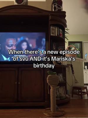 A post by @daisyjoxo on TikTok caption: It’s a national holiday #svu @Wolf Entertainment 