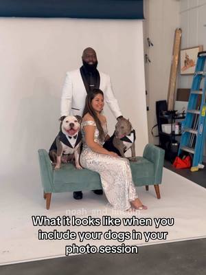 A post by @noah_and_lincoln on TikTok caption: 😍 photos to come soon . . . . #pets #dogdad #dogvideos #cutedogs #dogreel #americanbully #doglove #doglife #dogparent #videooftheday 