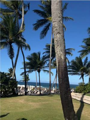 A post by @denise.rodri on TikTok caption: It’s Always Summertime en Puerto Ricooo  - Que isla tan Bella.  Mother Nature really did that