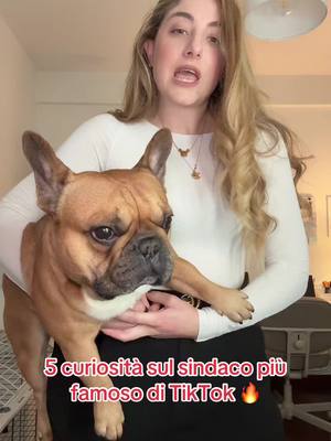 A post by @benedettaferranti on TikTok caption: Fateci sapere se ne volete altre 5 qui nei commenti 🥹🐶#bulldogfrancese #fyp #forypupage #nei #perte 