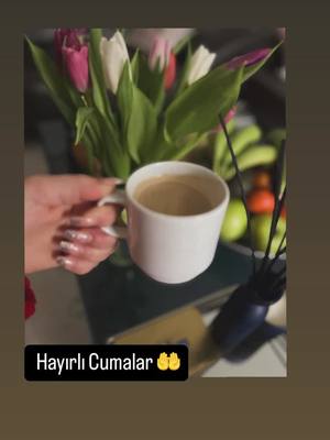 A post by @bilge_tekin100 on TikTok