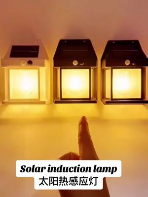 A post by @hongguo99 on TikTok caption: Solar induction lamp #lamp  #solarpower #inductionlamp  #nightlight #Nightlight  #SolarCourtyardLamp #InductionLamp #OutdoorLamp #SolarEnergy  #SolarEnergyInductionLamp #courtyard #decoration  #gardenlamp #Popular  #fyp  