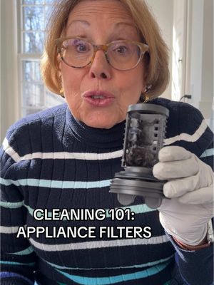 A post by @brunchwithbabs on TikTok caption: This is your sign to clean your dishwasher and washing machine filters! #CleanTok #appliances 