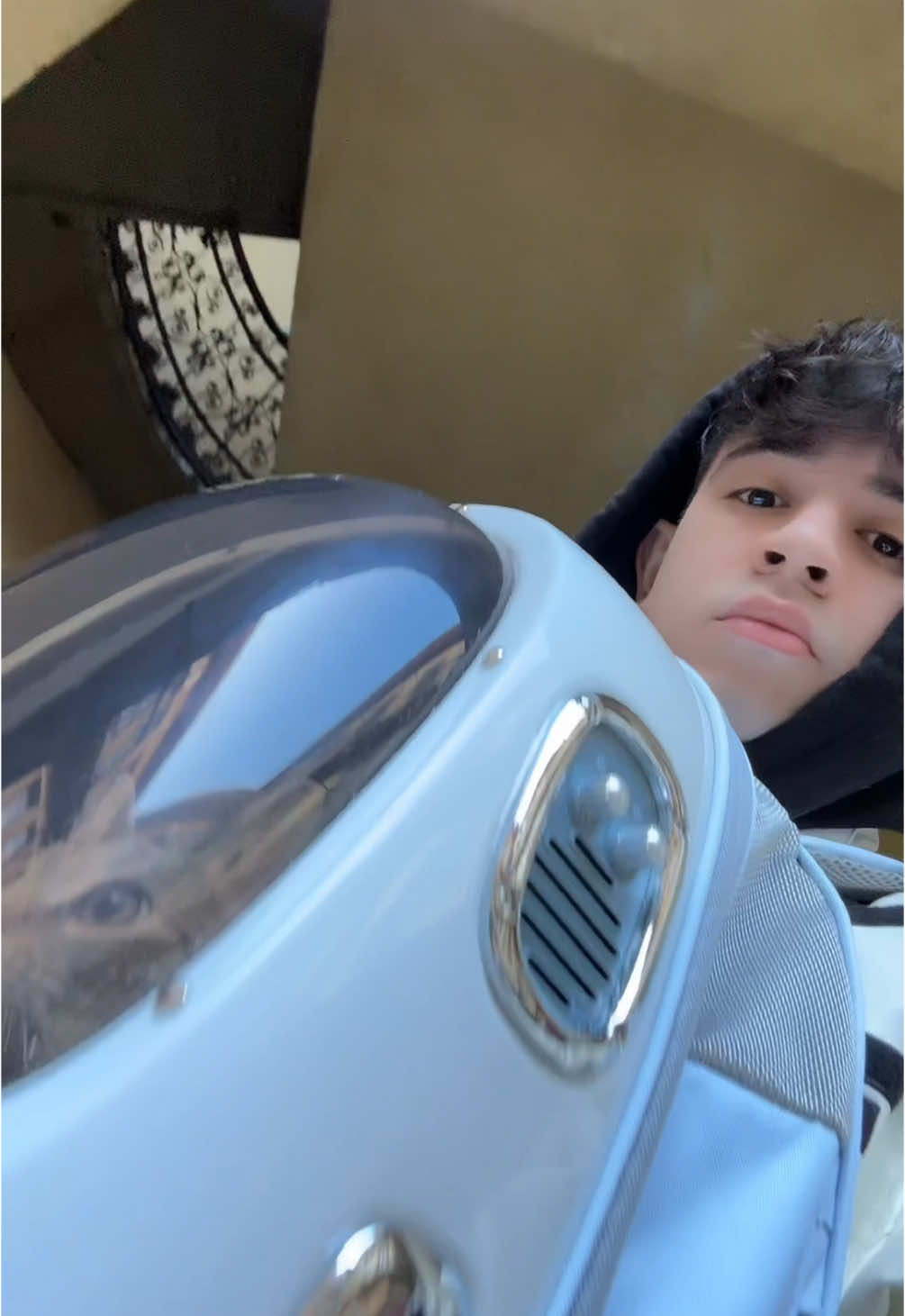 A post by @thekaszasimreofficial on TikTok caption: Űrhajós Cirmi 🚀☄️ IG: thekaszasimre #foryou #foryoupage #nekedbee #fyp 