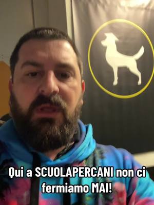 A post by @scuolapercani on TikTok caption: Un breve aggiornamento sulle novità che stiamo preparando per voi, perché qui a SCUOLAPERCANI non ci fermiamo MAI! 