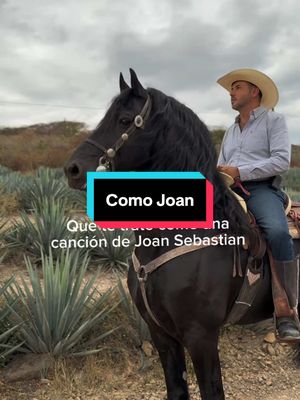 A post by @edgar.cardenasm on TikTok caption: Cómo te mereces ❤️🐴 #pantera #jalisco #joansebastian #caballos 