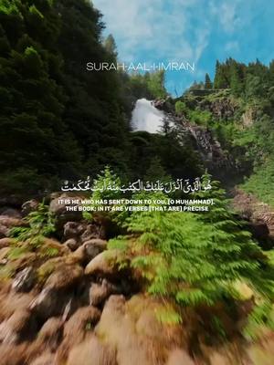 A post by @islamic_video5 on TikTok caption: #CapCut #pakistan #afghanistan🇦🇫 #qurantarjuma #khanakaba #allquran #butfullbird🦅🐦🦚 #pashto #paris #nature #qatar🇶🇦 #video #mashallah #indai #allah #ourdotarjma @noorarman786🇦🇫 @Noor Gull @noorgull312 