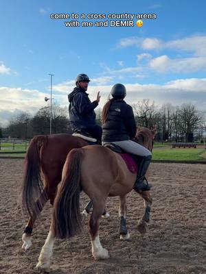 A post by @libbypartridge.equine on TikTok caption: the gingers take on cross country @Demir Topcu #horse #horses #xc #crosscountry #fun #funny #equestrian #crazy #xzybca #chaos 