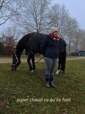 A post by @entresesoreilles on TikTok caption: En tout cas, le pas m’aura appris des choses… #entresesoreilles #cheval #equitation #Vlog #poney 