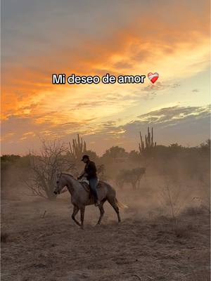 A post by @irving_cota on TikTok caption: #fyp #vaquero #cowboy #atardecer #sol #joansebastian #horse #caballos 