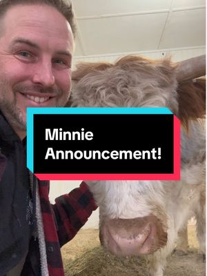 A post by @fluffyfeatherfarm on TikTok caption: Minnie Announcement!!!   #fluffyfeatherfarm #calfwatch #babyfarmanimals  Website: https://fluffyfeatherfarm.com Merchandise: https://fluffyfeatherfarm.square.site