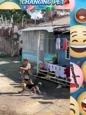 A post by @streethumor02 on TikTok caption: Changing pet 🐕🤣 #funnyvideos #funnymoments #prankvideos #funnyvideo #funny #prank #funnyprankvideos #prankvideo #funnypranks #funnyprank #fypシ 