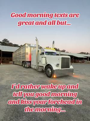 A post by @lowrider96 on TikTok caption: Facts💯 #cattletruck #Relationship #couplestiktok #fyp #bullhauler 