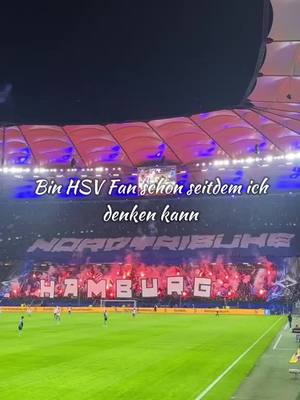 A post by @locke_1887 on TikTok caption: #💙🤍🖤 #hamburg #2liga #nurderhsv #fy #auswärtssieg 