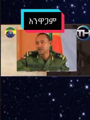 A post by @teddygetahun7 on TikTok caption: #ቴዲአይናገር☹️ #ወይዘንድሮ🤲 #ቴዲሀዋሳዜና #ቴዲማስታወቂያ #ሳቅ😂 