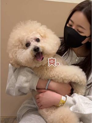A post by @hsiavv on TikTok caption: 過得比人還爽 #斑比 #夏筠婷 #hsiavv 
