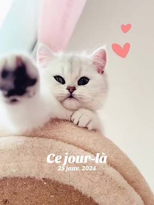 A post by @dumondebripearls on TikTok caption: #cejour-là 