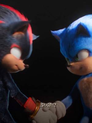 A post by @zekaeditz on TikTok caption: THIS DUO>>>> #edit #zekaeditz #sonic #sonicthehedgehog #sonic3 #shadow #fyp #viral_video 