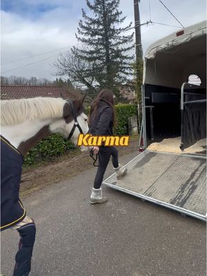 A post by @untraitdecheval on TikTok caption: On peut rien vous cacher 🤣 Sa propriétaire : @2 bais et un tacheté  Son confiage : @lareinedeschevres  #chevaldetrait #ecurie #cheval #karma 