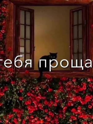 A post by @vsco.music01 on TikTok caption: #imovievideo #врекомендации #сфоном❤️‍ #трекизадушу😍#футажи #рекк #on #popylar 