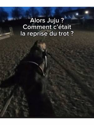 A post by @entresesoreilles on TikTok caption: Jamais autant travaillé mon assiette mdr c’était un coup de cul sauté 🕺#entresesoreilles #cheval #equitation #juliaetgoldie #juliaetgore