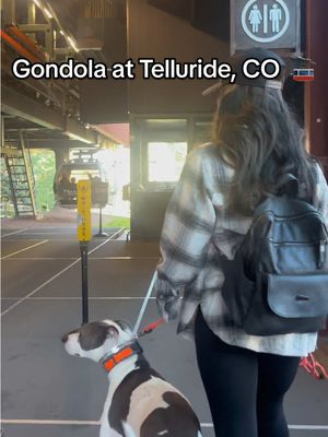 A post by @unobean on TikTok caption: Uno being a total diva 📍 Telluride Gondola  #fypシ