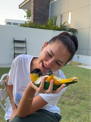 A post by @anna..paull on TikTok caption: Show this to someone who is scared of birds