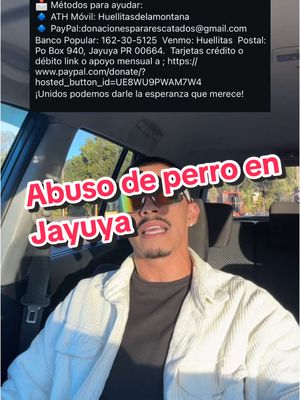 A post by @omarandoom on TikTok caption: Este abuso fue en JAYUYA. Para donaciones y ayudas, la información está en el video y en mis storys en Instagram.🐶♥️✋🏻 ATH Móvil: Huellitasdelamontaña Cualquier donación será agradecida.♥️♥️♥️🐶