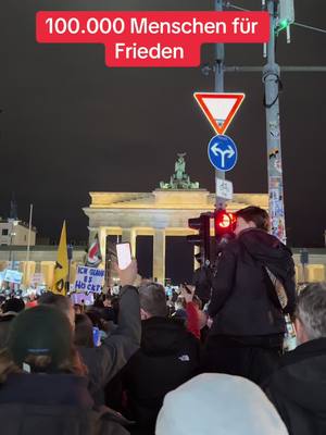 A post by @walid021079 on TikTok caption: Lichter Meer  in Berlin am 25.01.2025 Brandenburger Tor#lichtermeer #brandenburgertor #gegenmobbing 