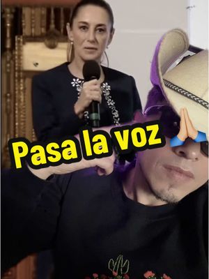 A post by @lavozdelpueblo_tv on TikTok caption: #duet with @vozdelpueblo_tv querían destruir al país pero se la pelaron 😘 #claudiasheimbaum #politicamexicana 