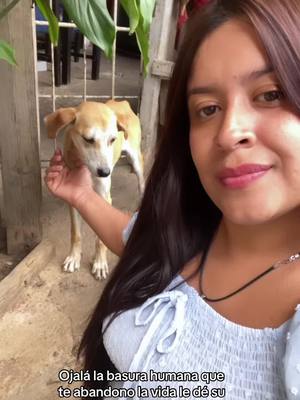 A post by @salvandohuellitassinvoz on TikTok