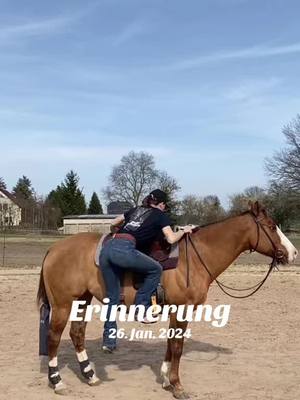 A post by @_sonnenpferdchen_ on TikTok caption: #erinnerung 