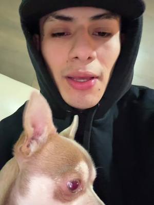 A post by @elboguetobrrr on TikTok caption: ❤️❤️❤️❤️ #bogueto #elbogueto 