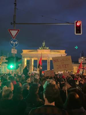 A post by @walid021079 on TikTok caption: #neveragain #niewieder #brandenburgertor #afd 