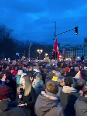 A post by @walid021079 on TikTok caption: #neveragain #niewieder #brandenburgertor 