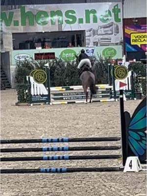 A post by @ikbeninneaangenaam on TikTok caption: Opnieuw een foutloos rondje🩵 #choco #zangersheide #jumping #jumpinghorse #younghorse #younghorses @SpecialStables 