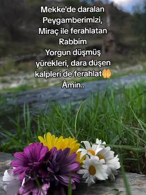 A post by @gonul_38 on TikTok caption: Miraç Kandilimiz Mübarek Olsun🌼🌹 #hayırlıkandillerdilerim🤲🌹 #selamveduaile #kesfettfyp #gonul_38 