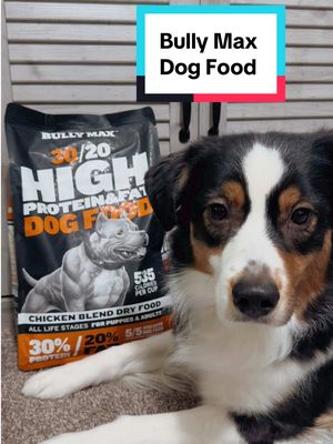 A post by @alpineaussies on TikTok caption: Bully Max dog food #dogproducts #tiktokmademebuyit #tiktokshopfinds #dogfood #aussie 