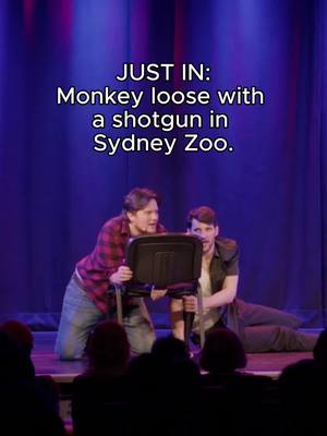 A post by @shootimpro on TikTok caption: WHO WOULD GIVE A SH0TGUN TO A MONKEY?! 🙈🔫 Improvised by Shoot From The Hip #funny #comedy #game #zoo #improvised #shootfromthehip #improvisedcomedy #londonfunny #funnyinlondon #comedygroup #change