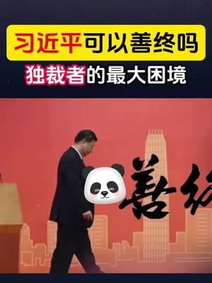 A post by @naivepanda on TikTok caption: 习近平可以善终吗？#China #中国 #中共 #习近平 #独裁者 #接班人 #毛泽东