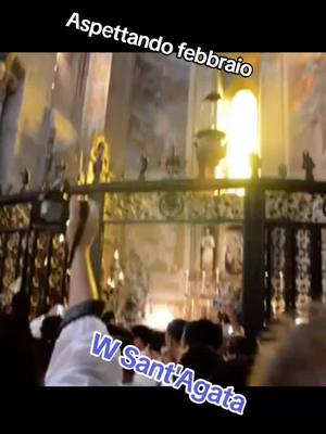 A post by @giuseppeplatania2profilo on TikTok caption: Catania#W Sant'Agata 