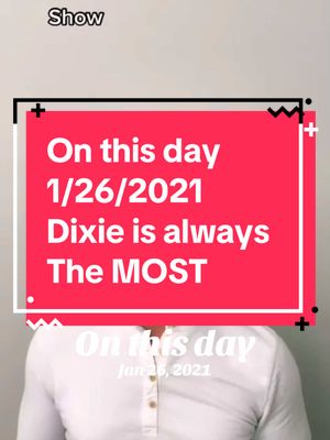 A post by @dixieandherdad on TikTok caption: #onthisday Dixie is always the MOST… #dixiejeauxbelle #dogsoftiktok #georgous 