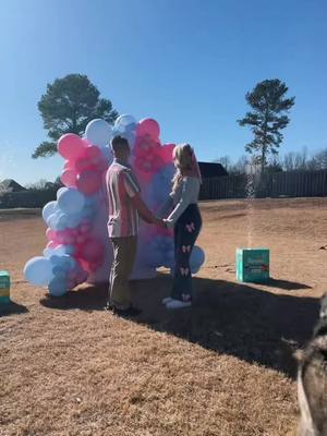 A post by @heather_swain11 on TikTok caption: Baby Swain is a …….. 🩷🩵🎀⚾️ #genderreveal