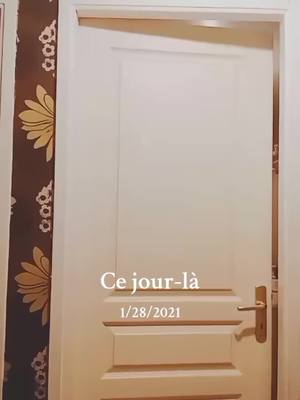 A post by @stefie_italia on TikTok caption: #cejour-là 