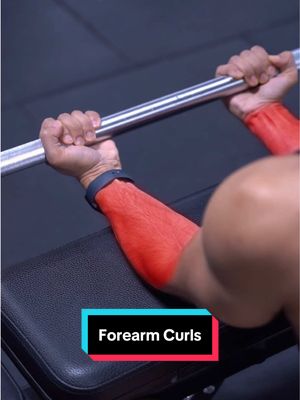 A post by @hazzytrainer on TikTok caption: Carve your Body with Forearm Curls ⚠️ . Here are the 2 main Forearm Curl variations that I alternate with when building Forearms like Popeyes. 🔥 When performing Lying Forearm Curls with your hands Supinated, this will emphasize your Lower/Mid Forearms. ✅ However, when performing Reverse Forearm Curls, this will emphasize your Upper Forearms. ✅ Using a combination of both will be killer in building forearms like Popeyes. 🔥 Keep crushing it saiyans. 💪🏽 . #forearms #arms #armworkout 